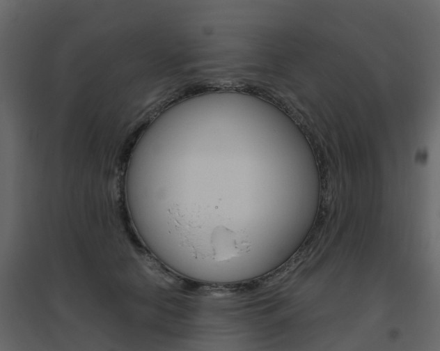 X0000096640658200802050959