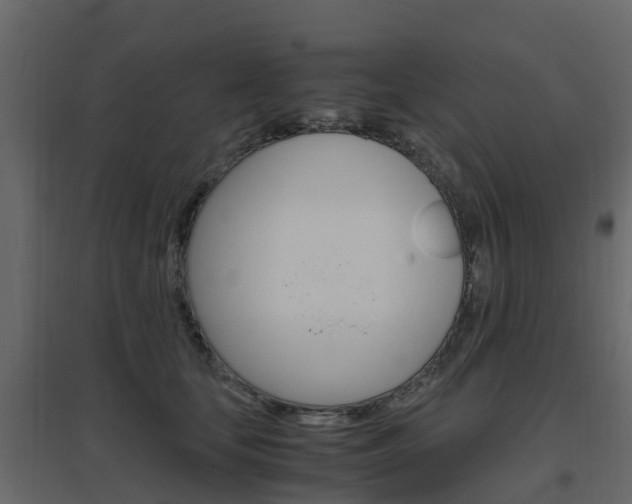 X0000096640659200802050959