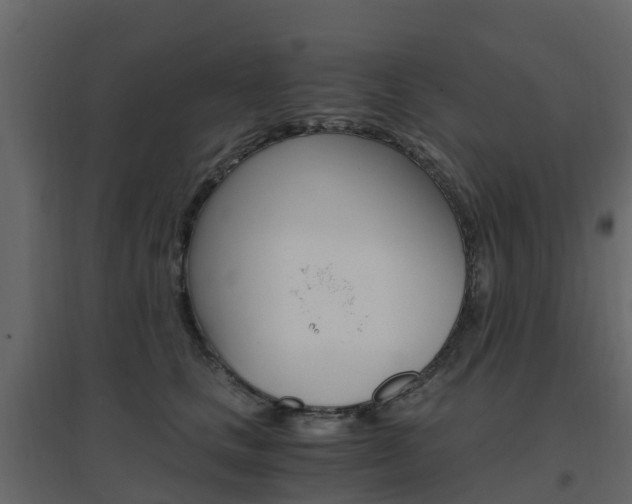 X0000096640661200802050959
