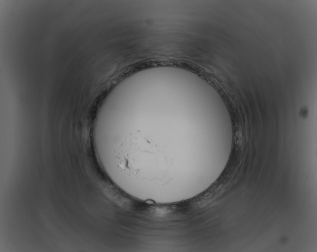 X0000096640662200802050959