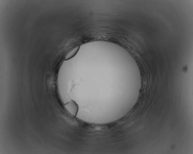 X0000096640663200802050959