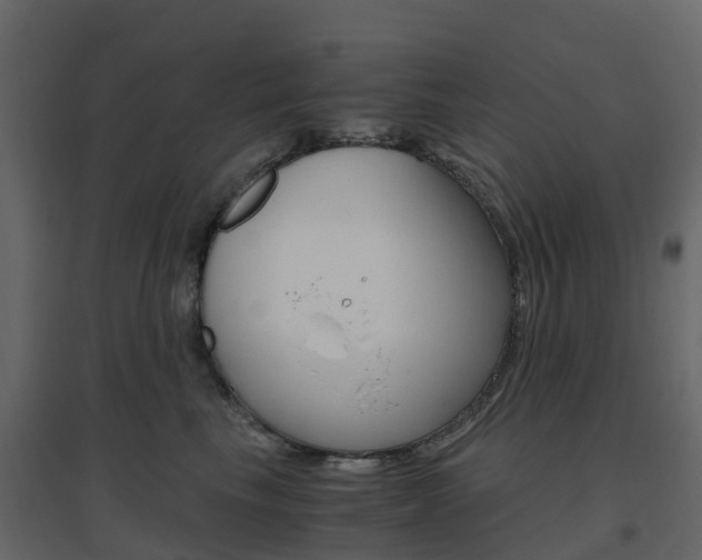 X0000096640665200802050959