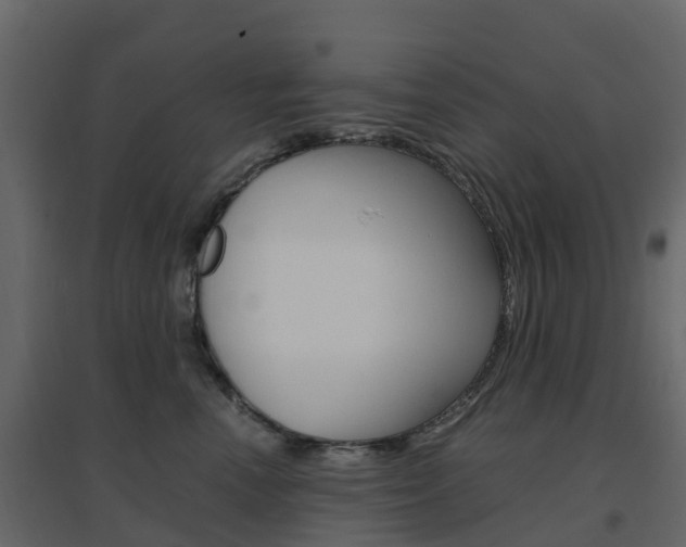 X0000096640666200802050959