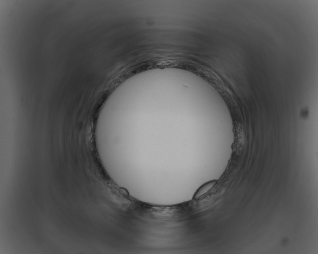 X0000096640667200802050959