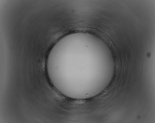 X0000096640668200802050959