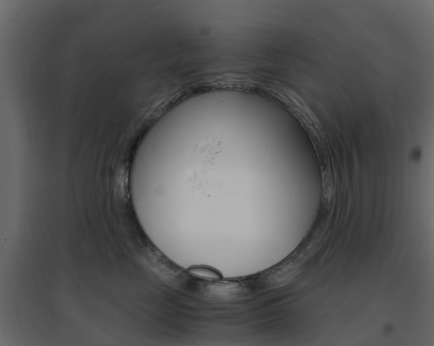 X0000096640669200802050959