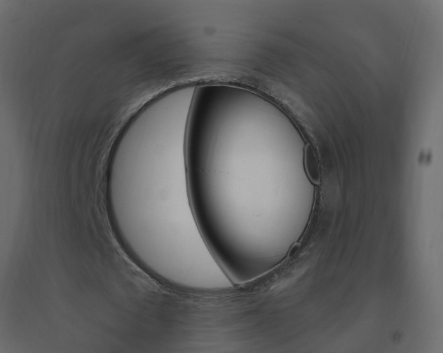 X0000096640673200802050958