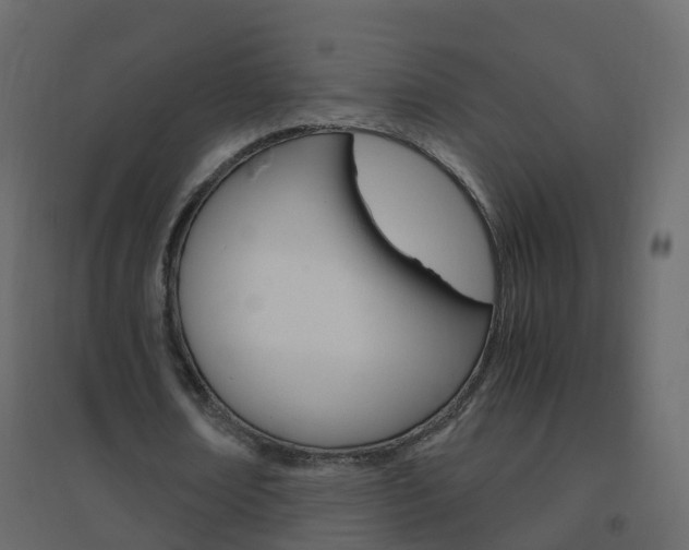 X0000096640674200802050958
