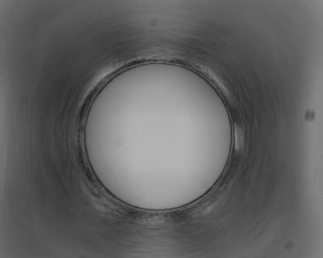 X0000096640675200802050958