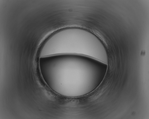 X0000096640676200802050958
