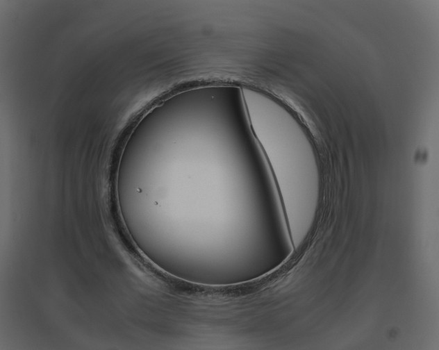 X0000096640677200802050958