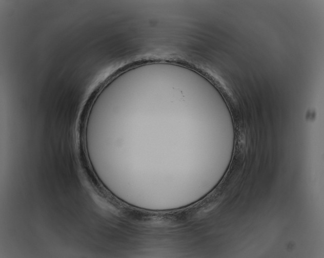X0000096640678200802050958