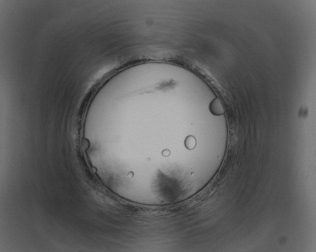 X0000096640679200802050958