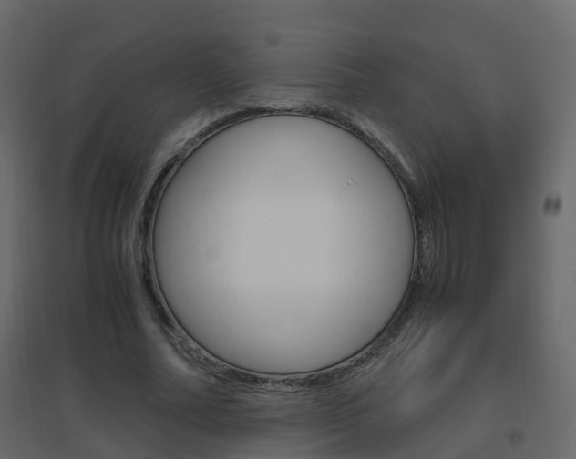 X0000096640682200802050958