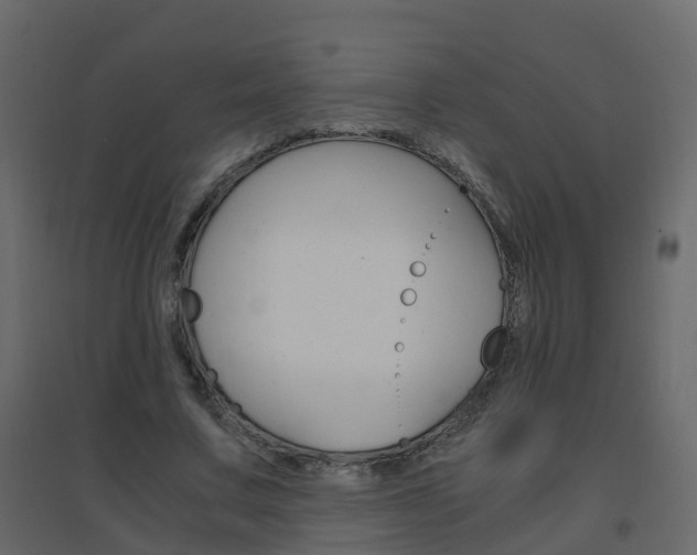 X0000096640683200802050958