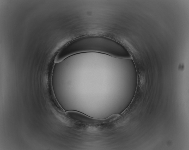 X0000096640684200802050958
