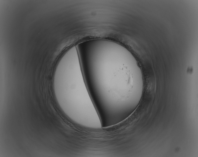 X0000096640685200802050958