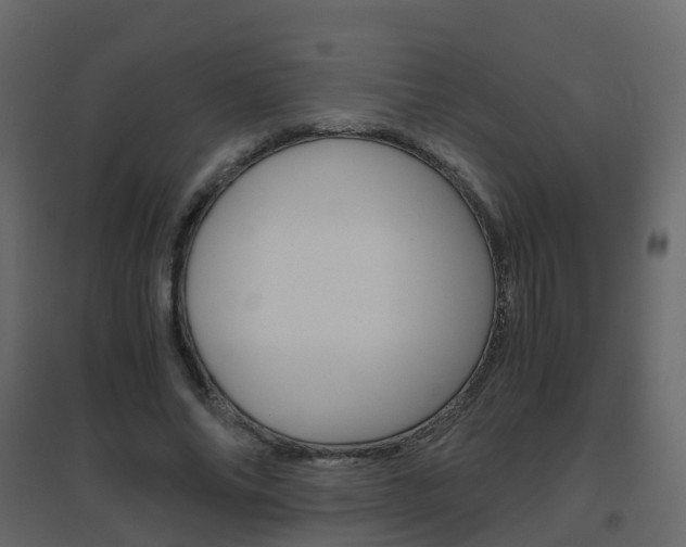 X0000096640686200802050958