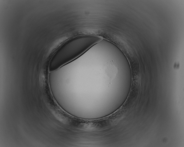 X0000096640688200802050958