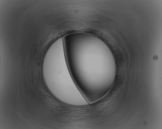 X0000096640689200802050958