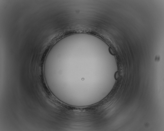 X0000096640690200802050958
