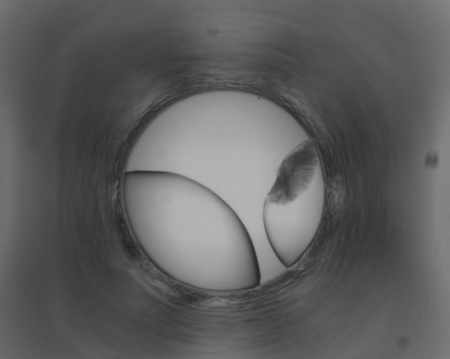 X0000096640691200802050958