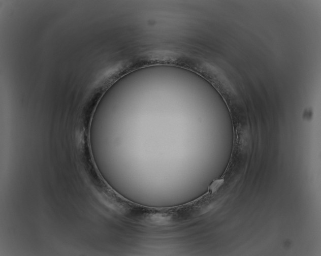 X0000096640692200802050958