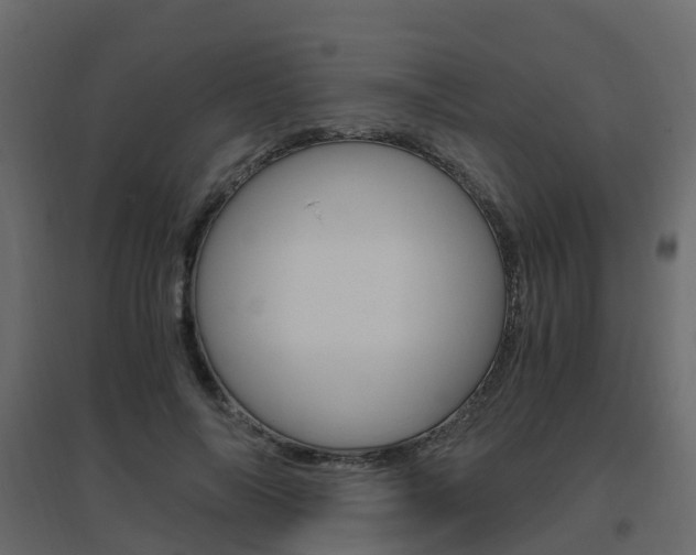 X0000096640694200802050958
