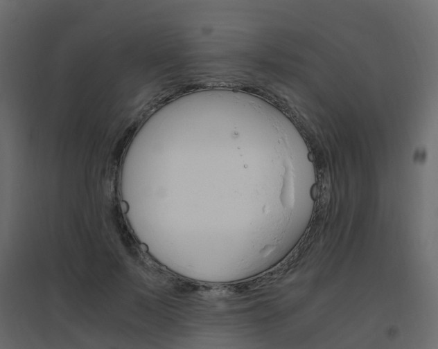 X0000096640695200802050958