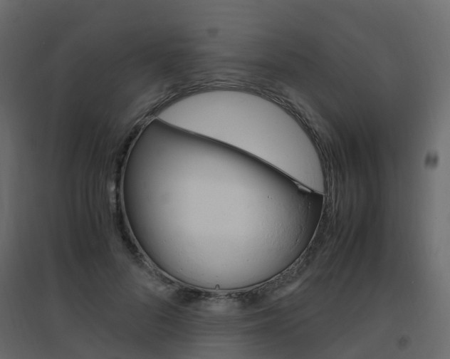 X0000096640696200802050958