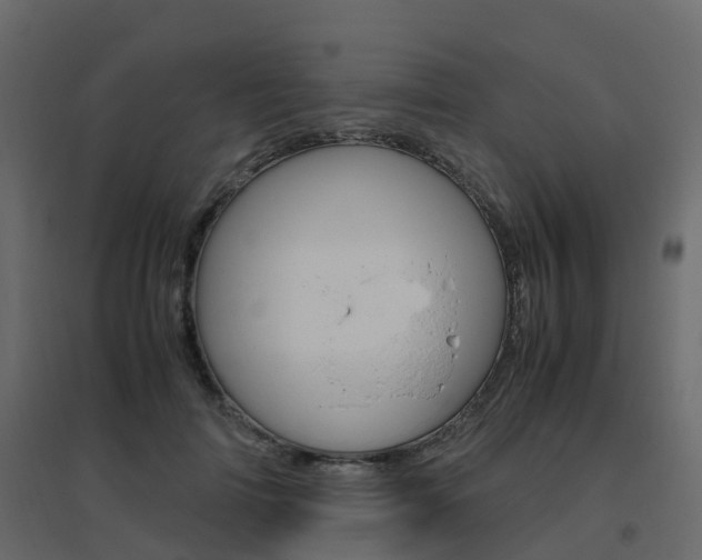 X0000096640698200802050958