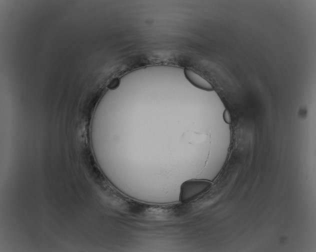 X0000096640699200802050958