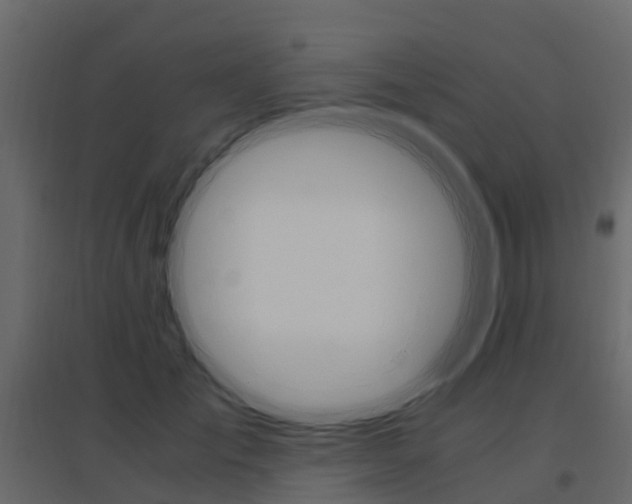 X0000096640701200802050958