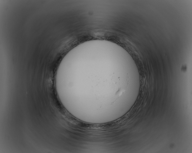 X0000096640702200802050958