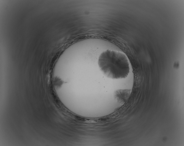 X0000096640703200802050958