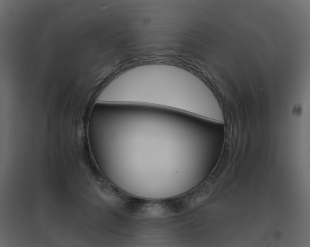 X0000096640704200802050958