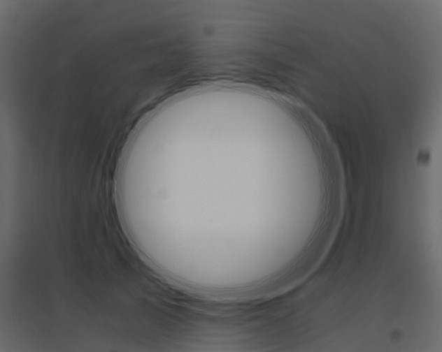 X0000096640705200802050958
