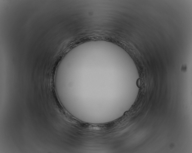 X0000096640706200802050958