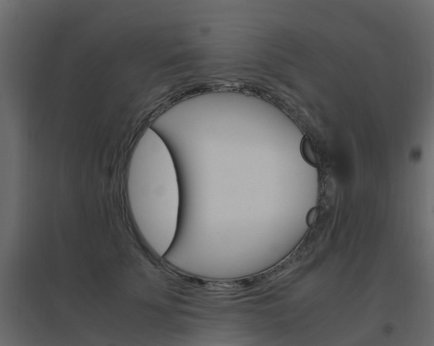 X0000096640707200802050958
