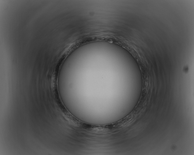 X0000096640708200802050958