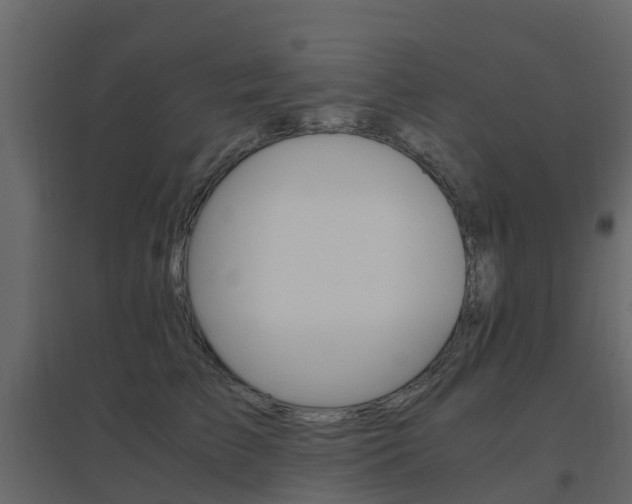 X0000096640709200802050958