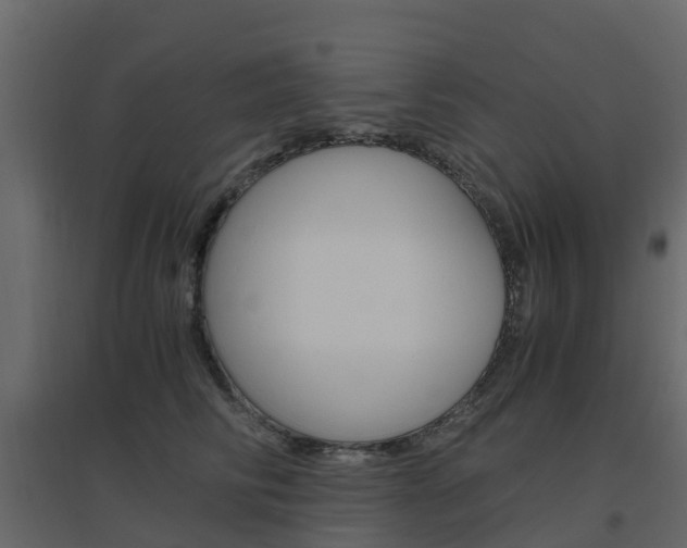 X0000096640710200802050958