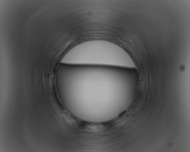 X0000096640712200802050958