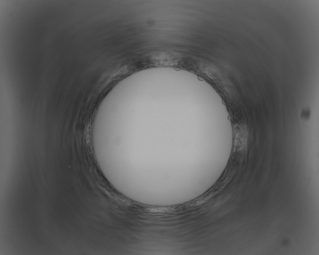 X0000096640713200802050958