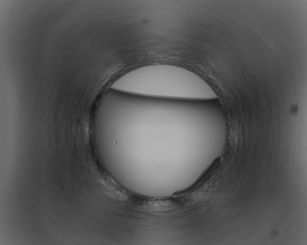 X0000096640716200802050958