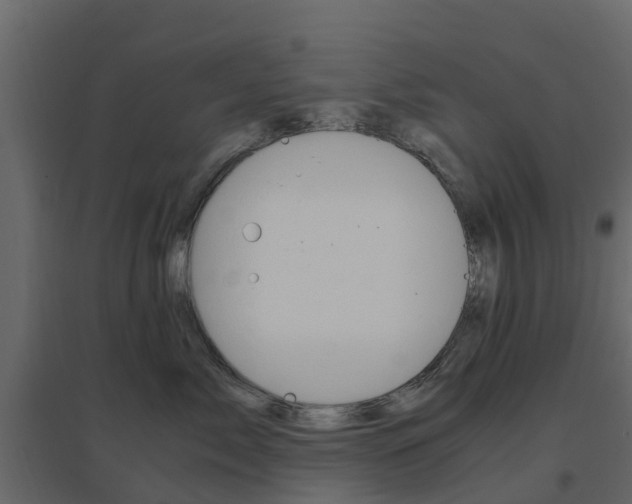 X0000096640717200802050958