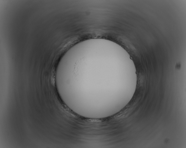 X0000096640719200802050958