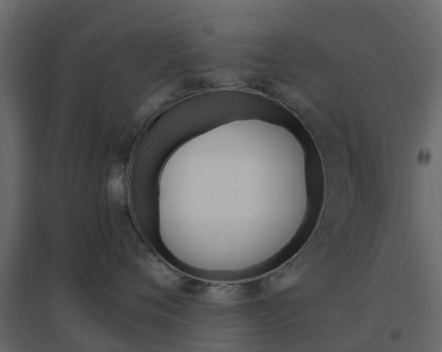 X0000096640720200802050958