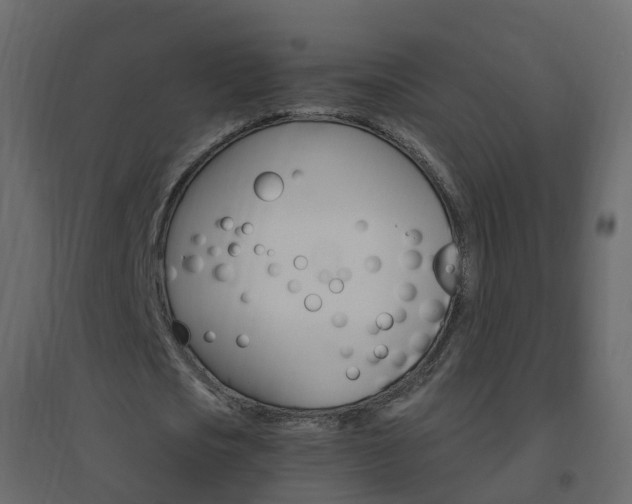 X0000096640721200802050957