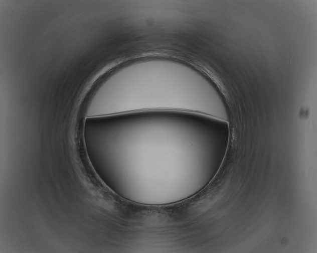 X0000096640724200802050957